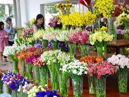 Trang trí đẹp